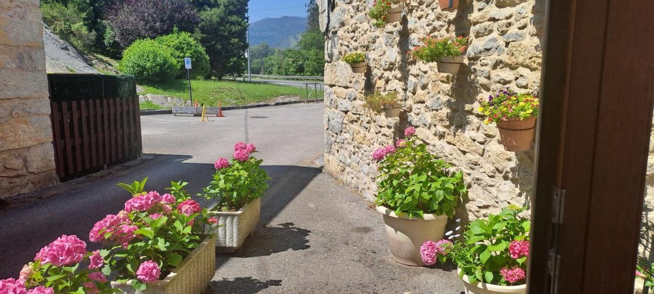 Casa Del Cura Hotel Molleda Екстериор снимка